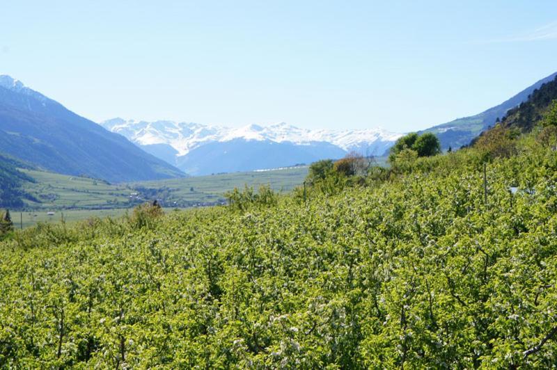 Alpenresidenz Maria Ξενοδοχείο Silandro Εξωτερικό φωτογραφία